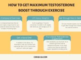 Does Exercise Increase Testosterone If Yes How