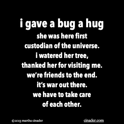 i gave a bug a hug