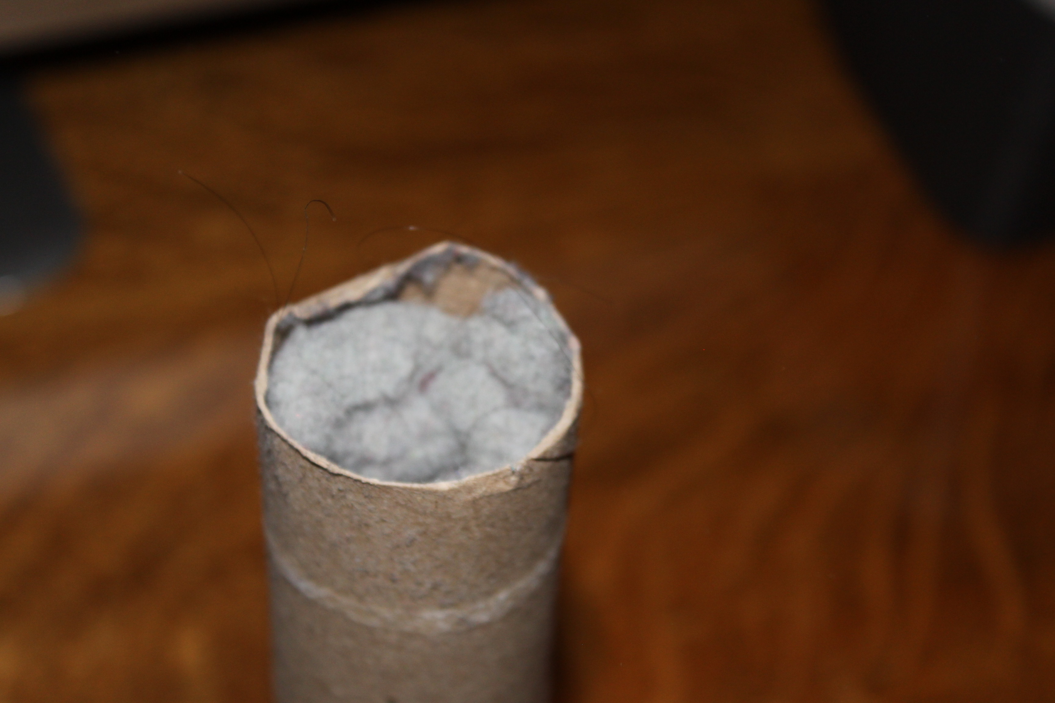 homemade fire starter