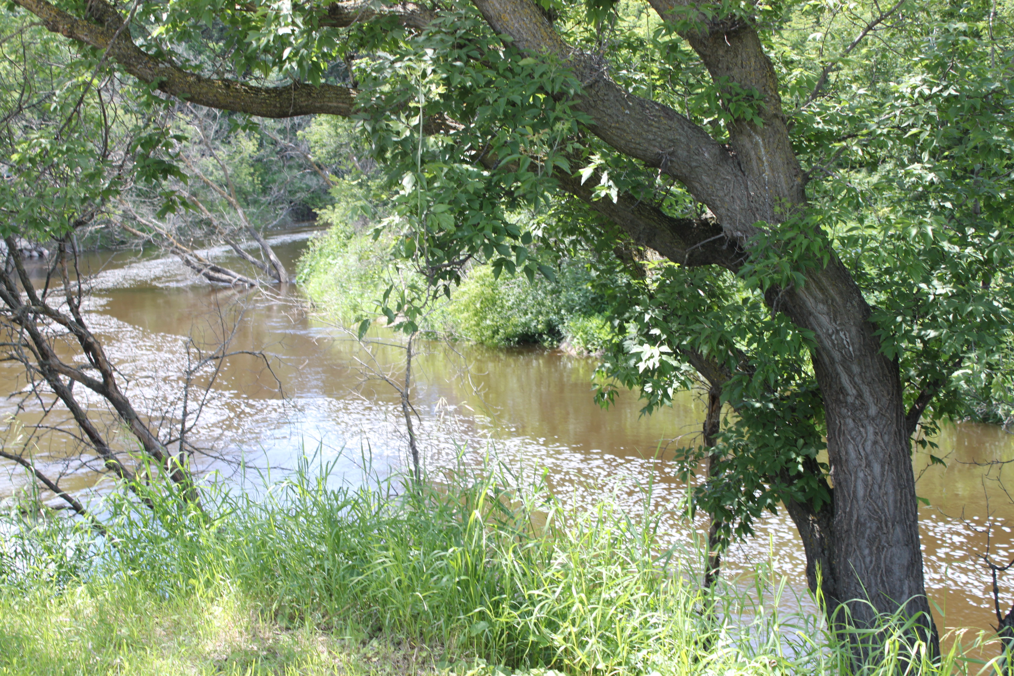 Victoria Park Campground