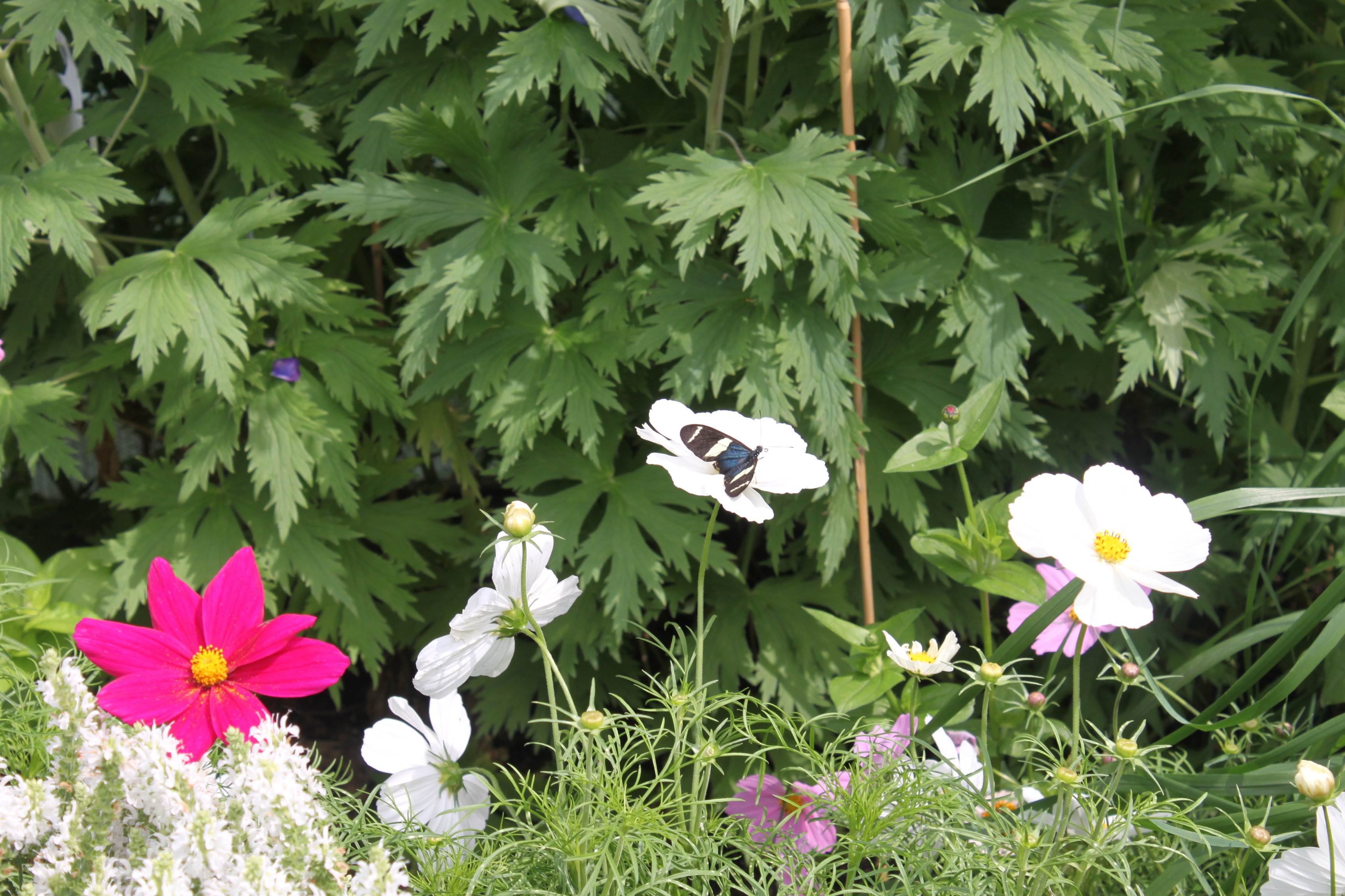 Assiniboine Park Zoo