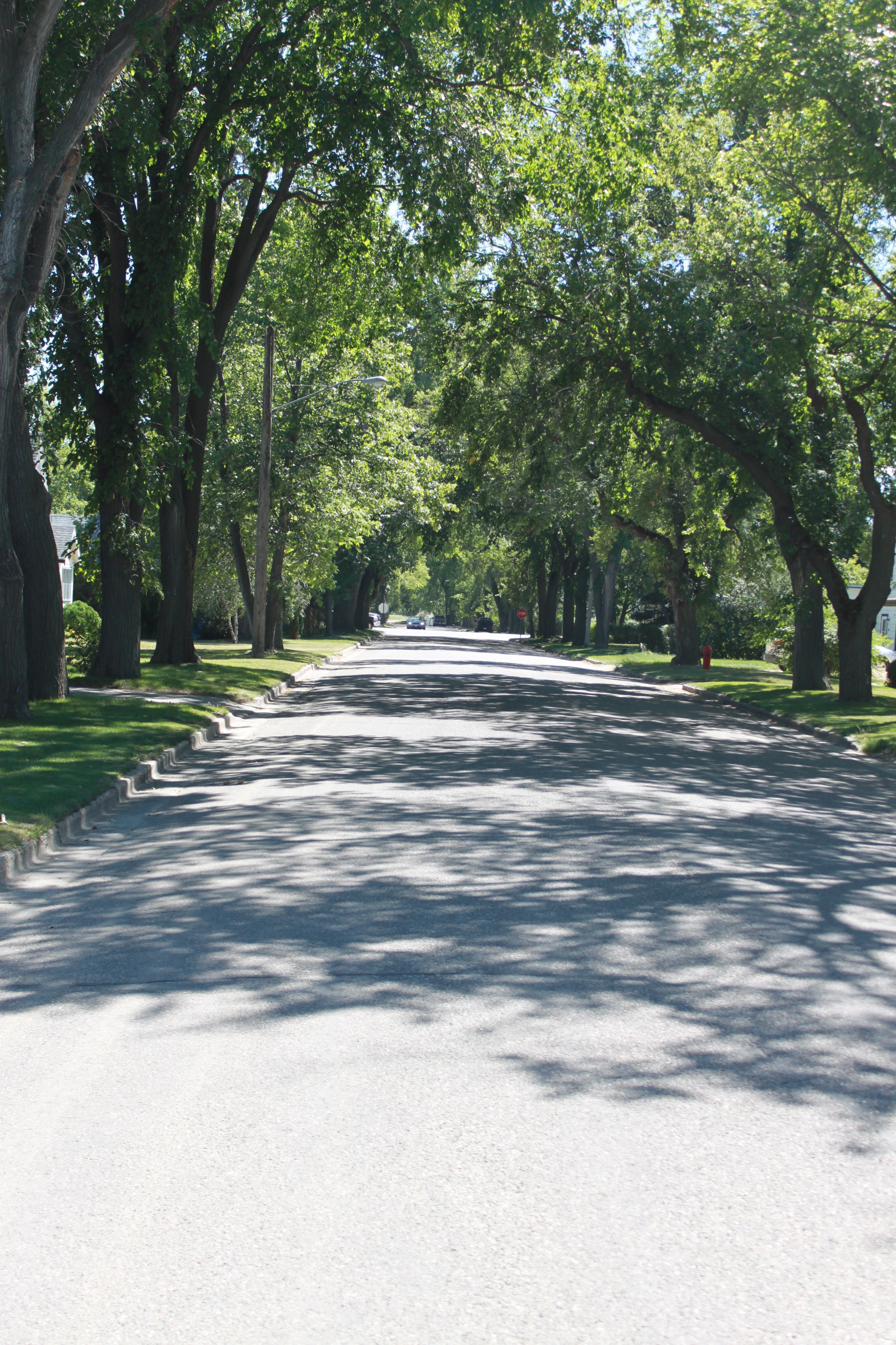 Manitoba Stay-cation