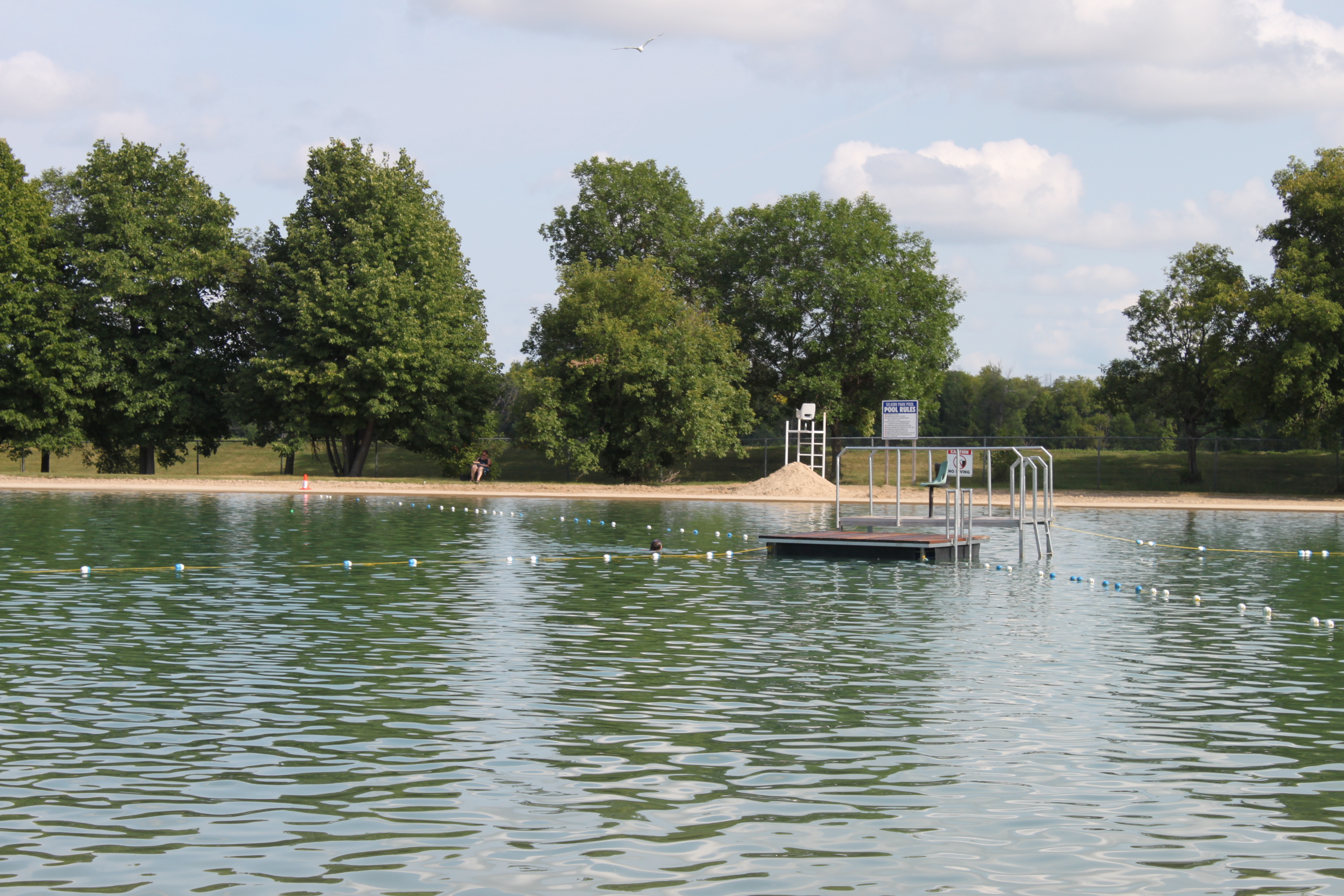 Selkirk Park and Pool