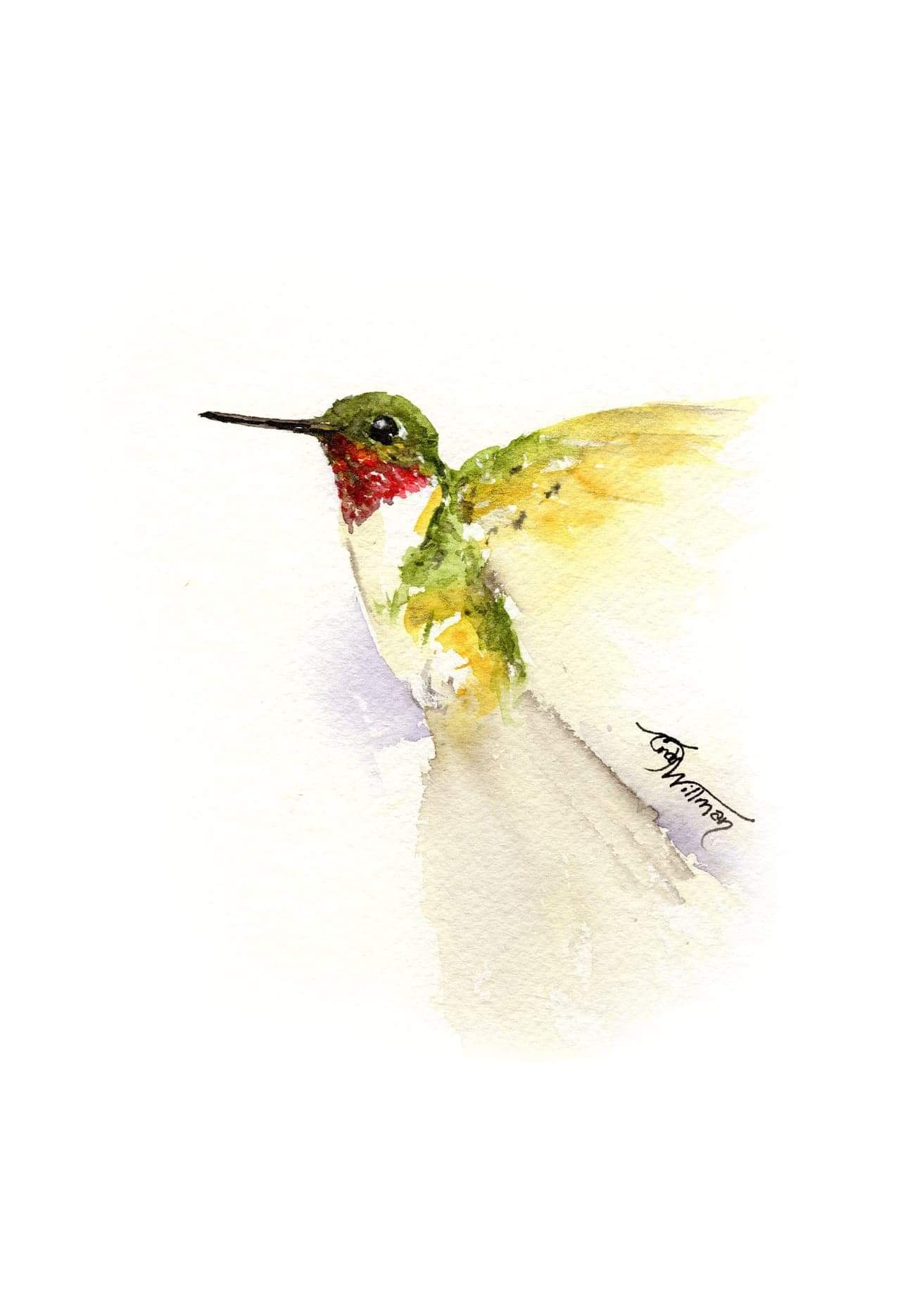 BI1009 - Ruby-throated Hummingbird