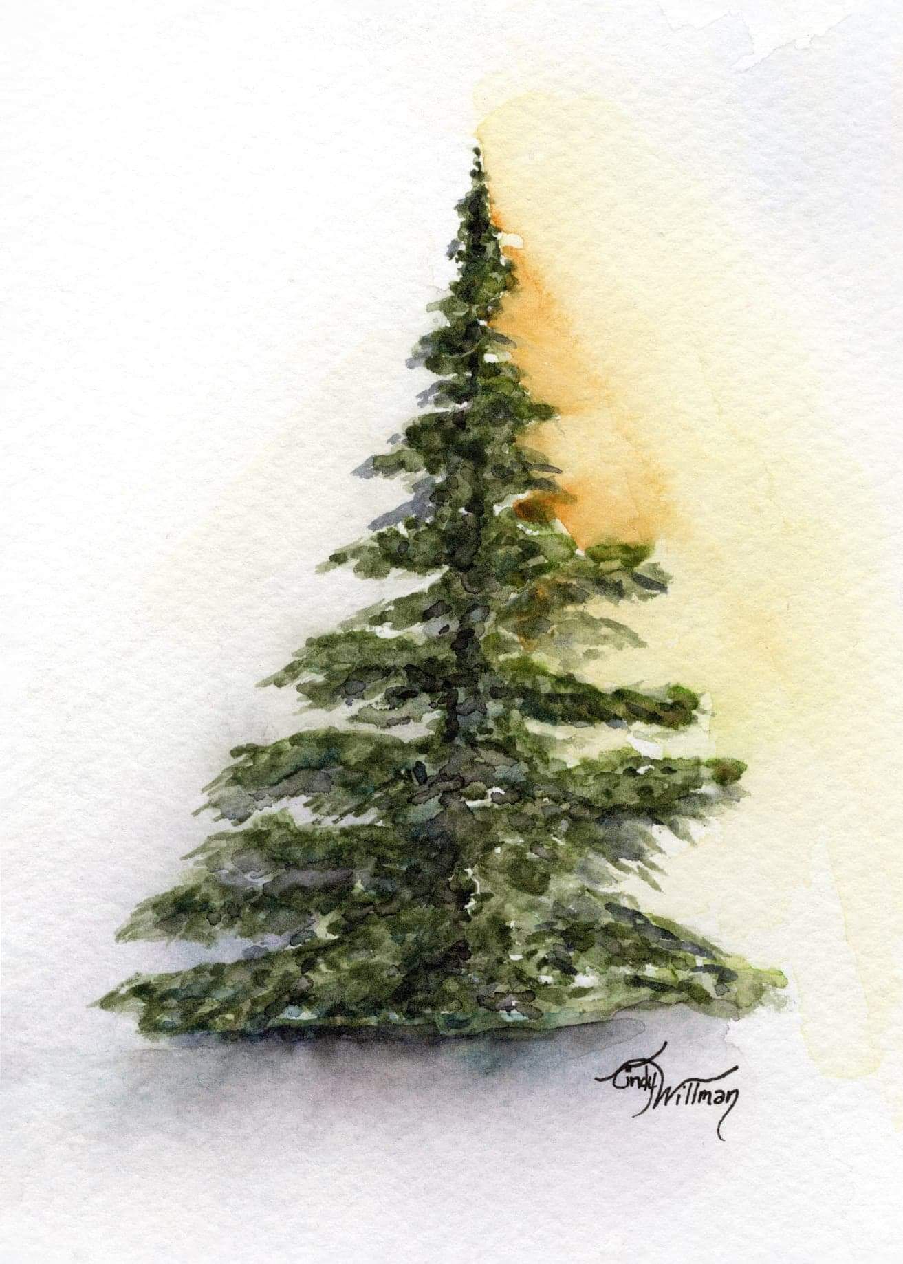 TR1003 - For-Evergreen