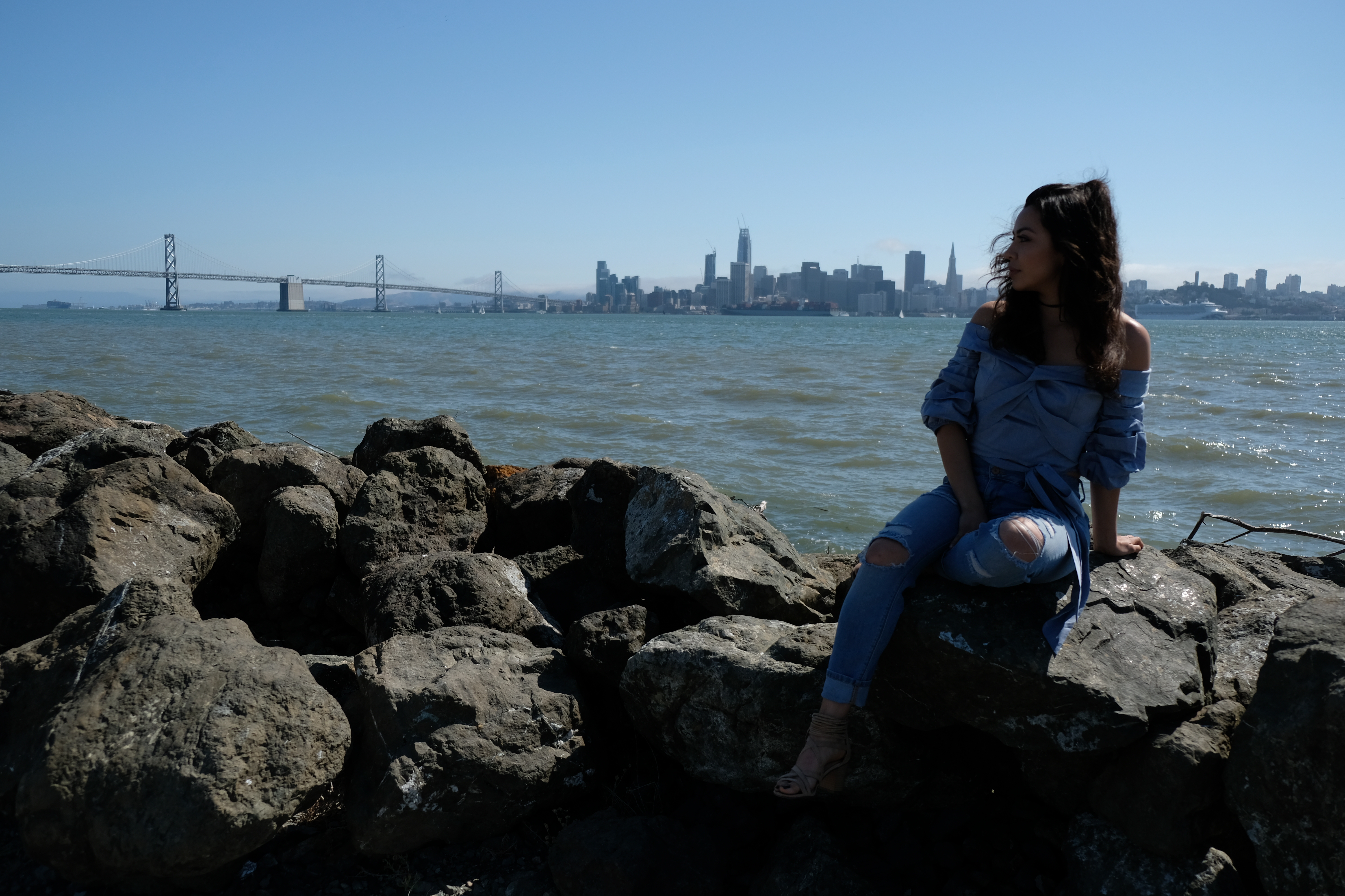 view of Bay Bridge San Francisco from treasure island
