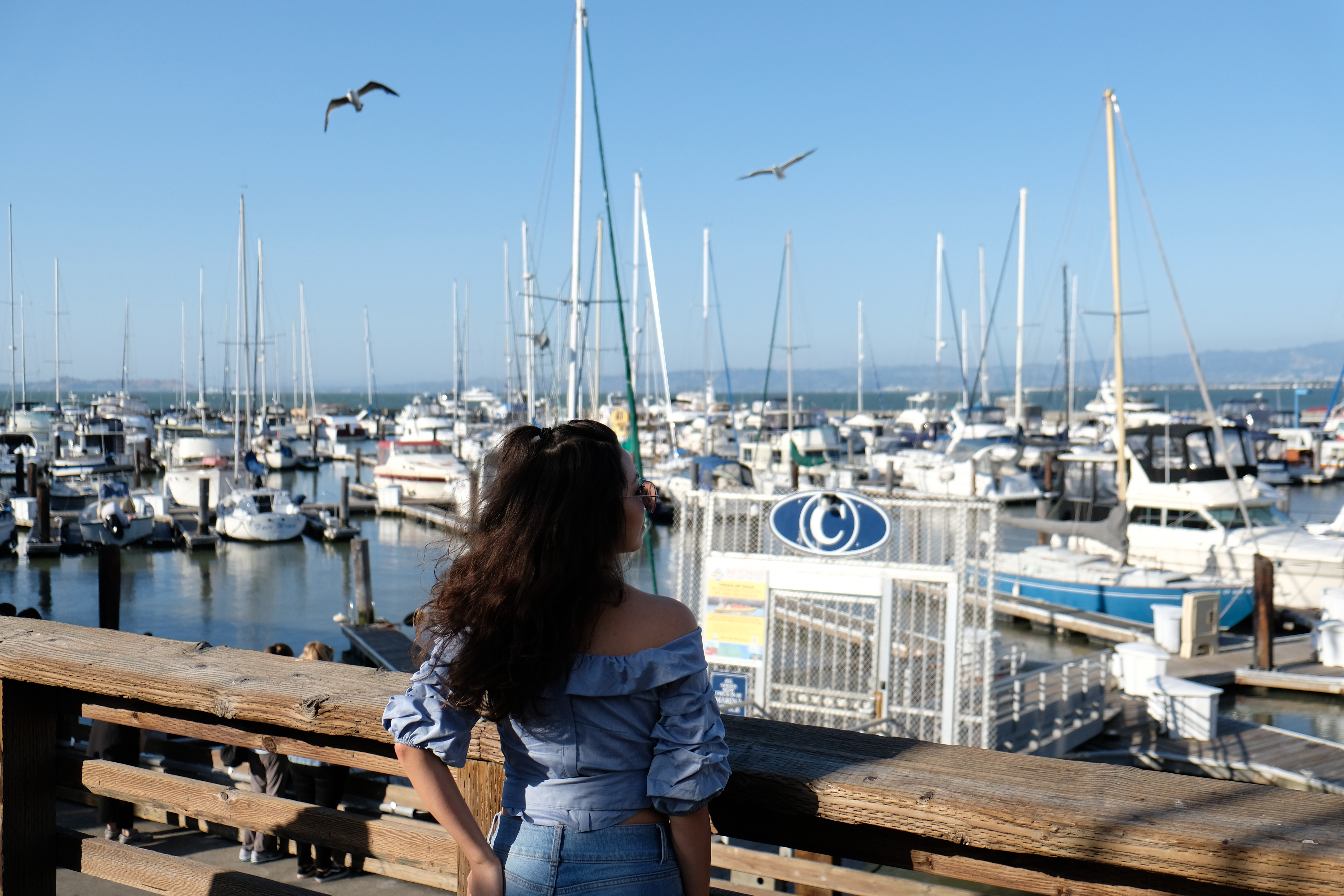 Crazy about San Francisco