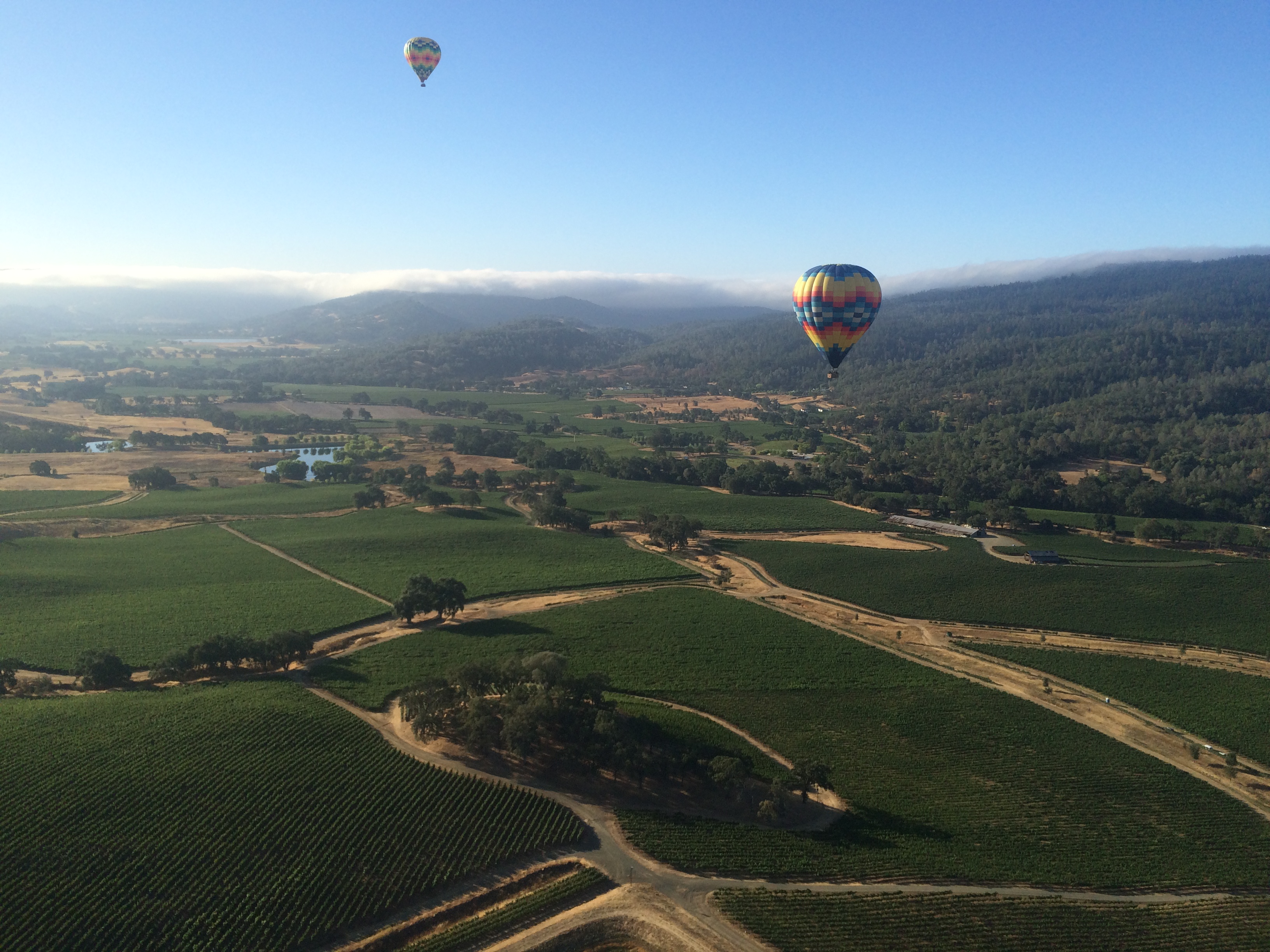 Soaring Over Napa