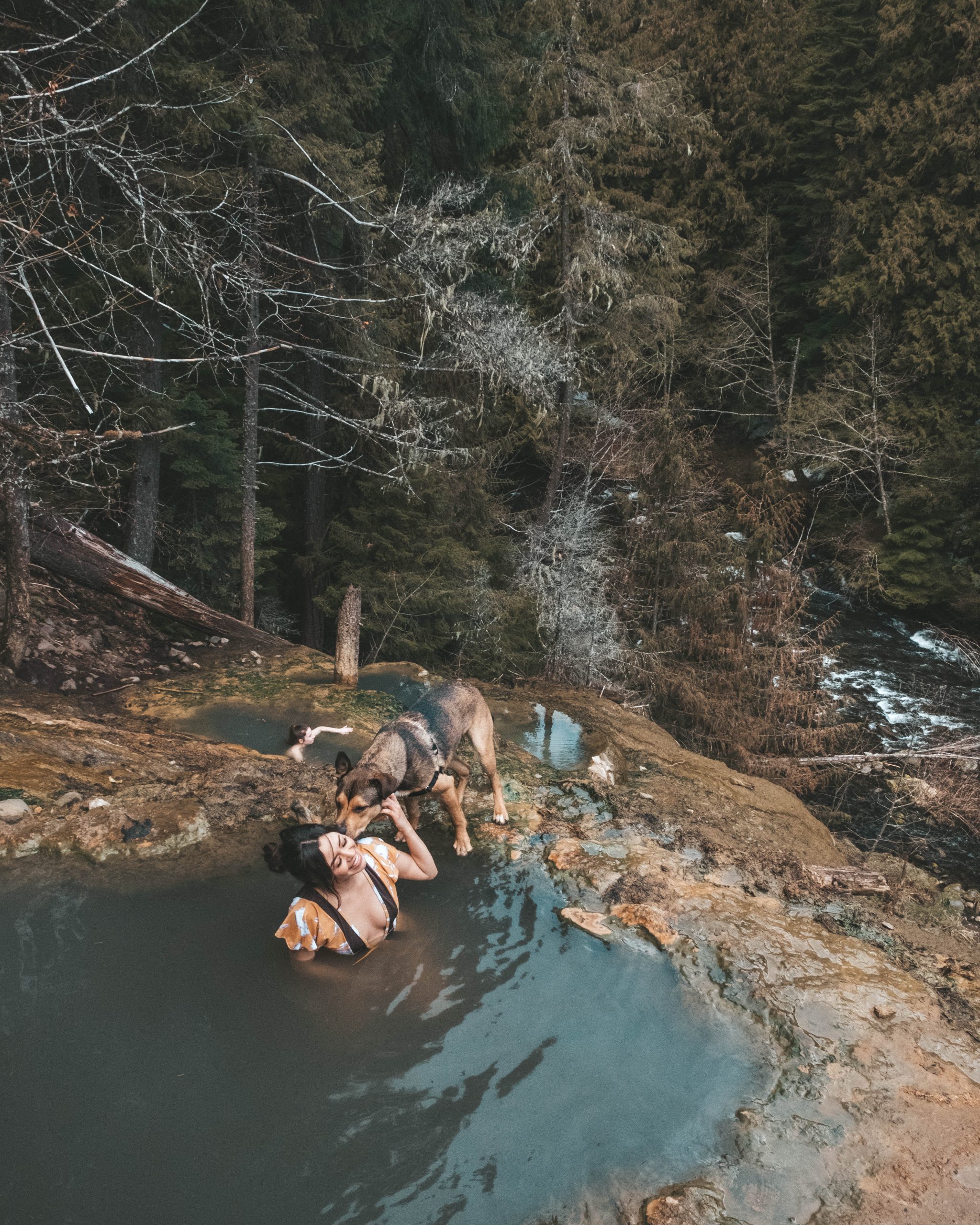 dog at hot springs
