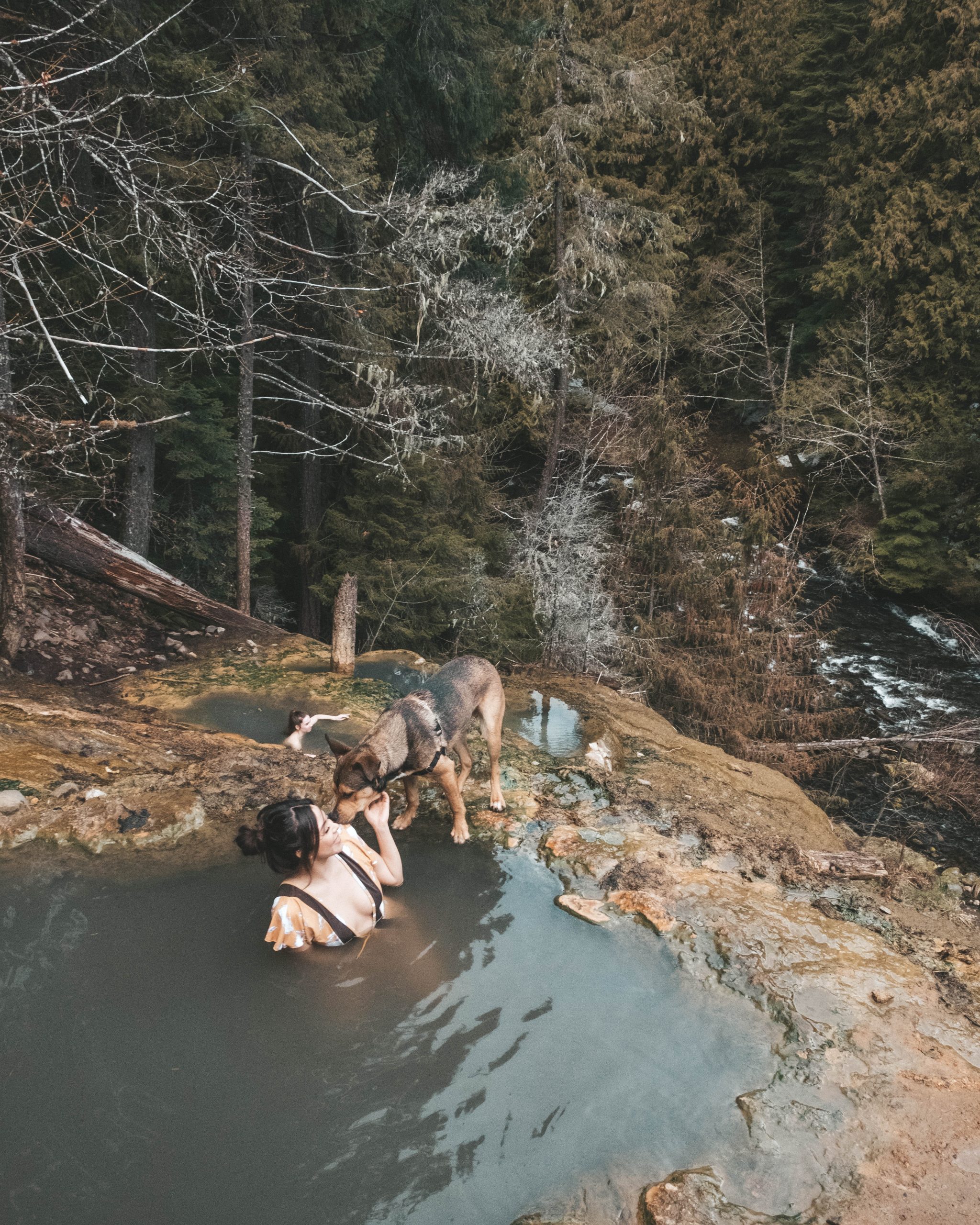 dog at hot springs 2