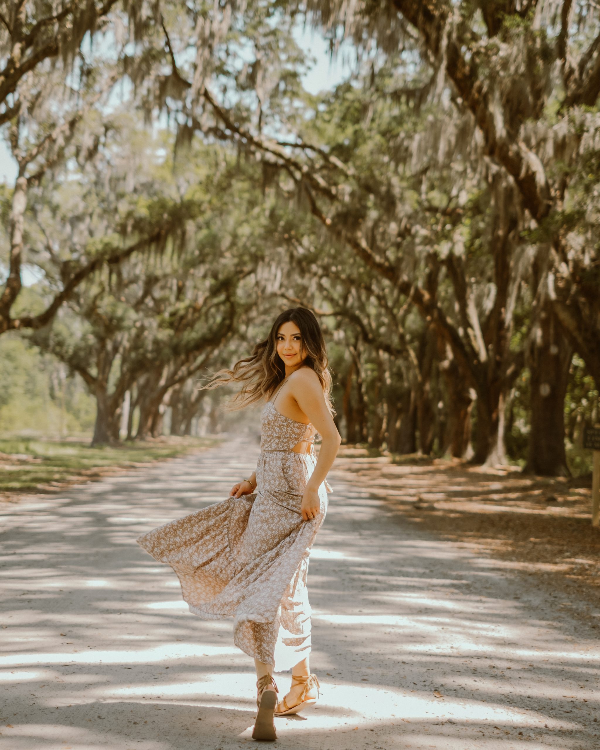 The Ultimate Savannah Travel Guide