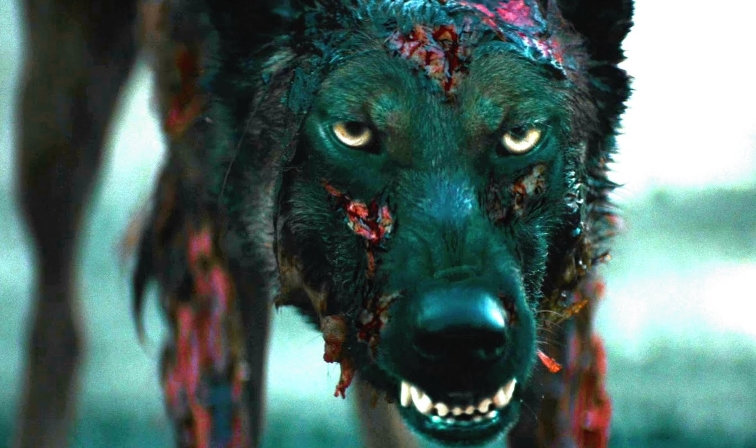 Film Review: Cabin Fever