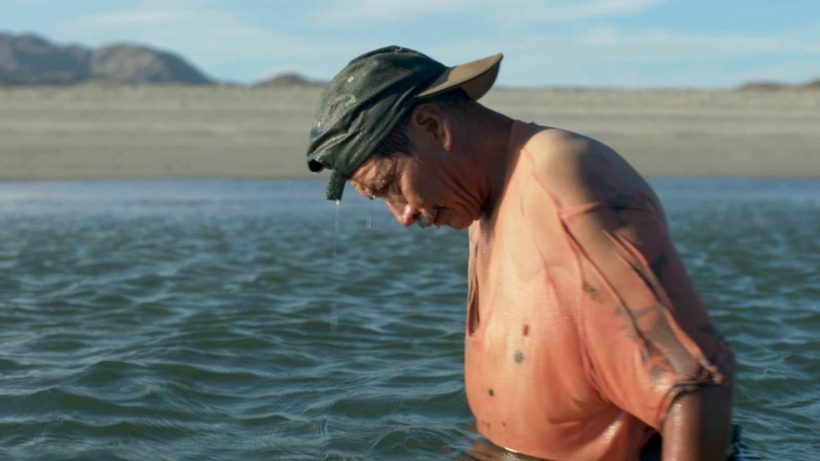 Una corriente salvaje (Nuria Ibañez, 2018)