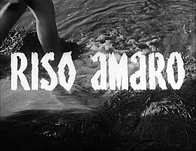 Riso Amaro, 1949
