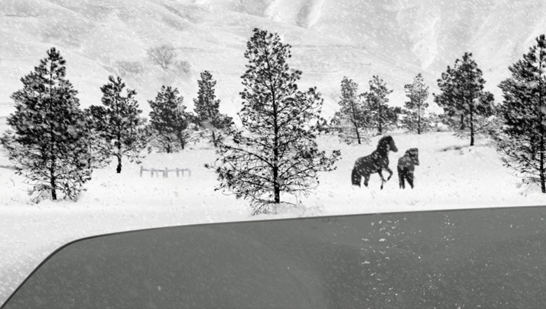 Crítica: 24 Cuadros (2017), de Abbas Kiarostami