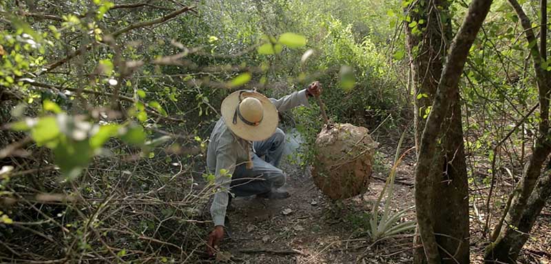 Crítica: Chaco (2017), de Ragone, Fernández Gebauer y De la Orden