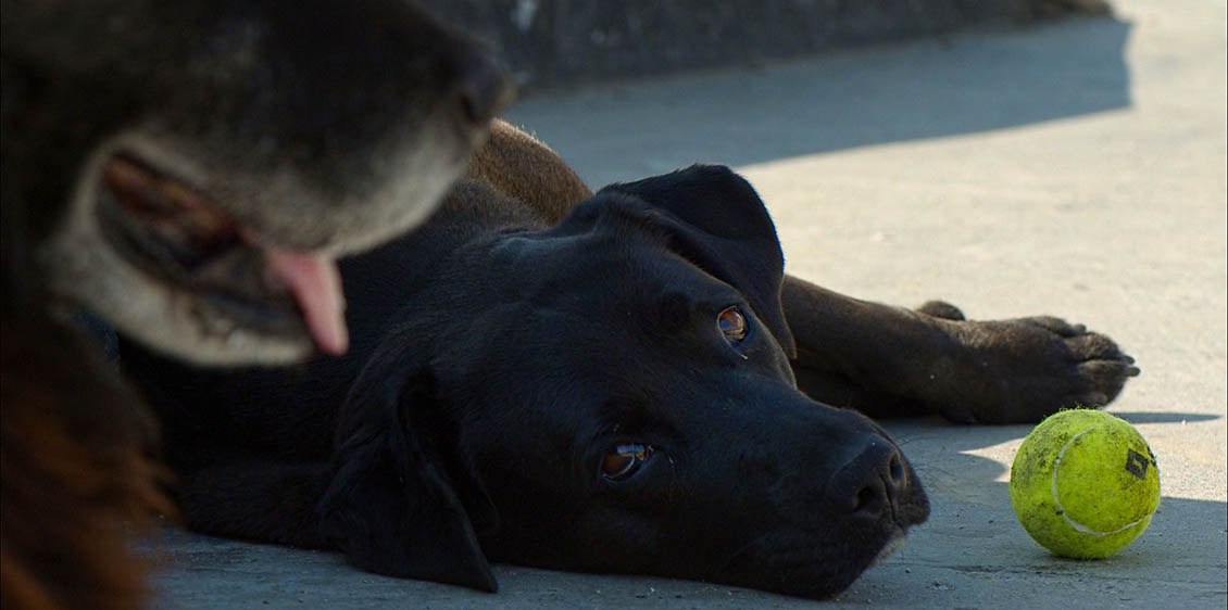 Crítica: Los Reyes (2018), de Bettina Perut y Iván Osnovikoff