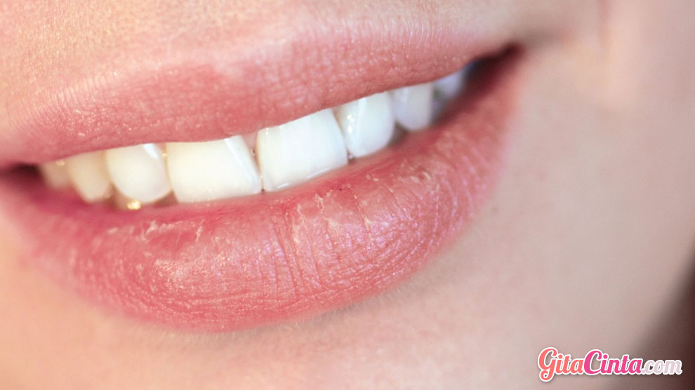 Vitamin-Bibir..