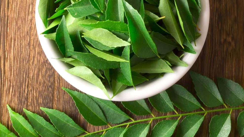 Alternatif Bahan Pengganti Daun Salam dalam Masakan