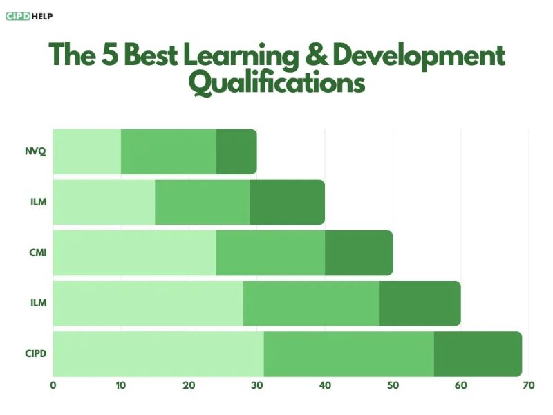 The 5 Best Learning Development Qualifications Learning And Development - Artistic Retina Nature Designs | Free Download