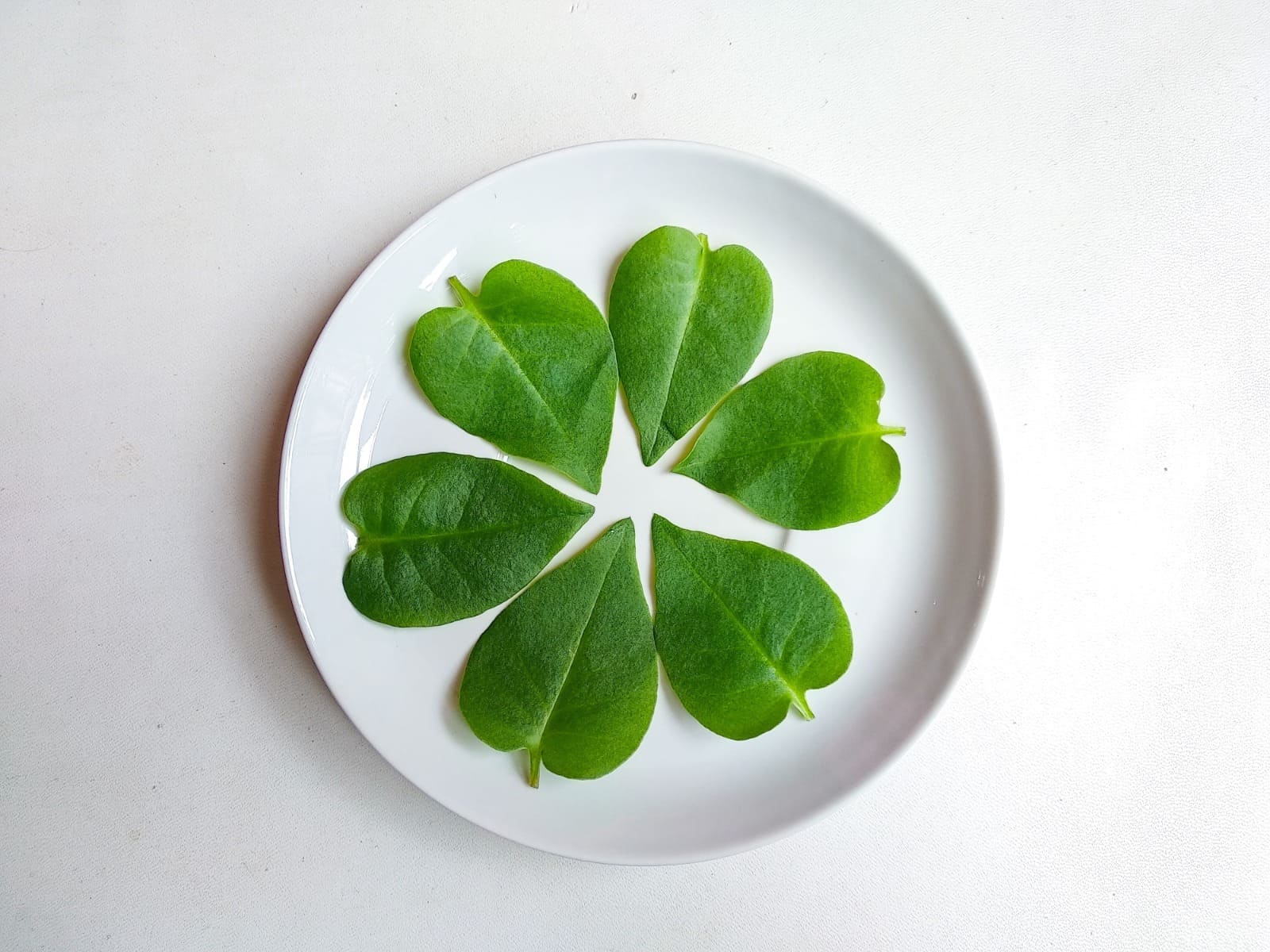 Manfaat daun binahong