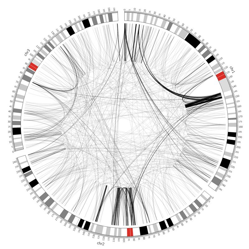 Basic Data Visualization Serywelcome - High Quality Nature Wallpaper - Full HD