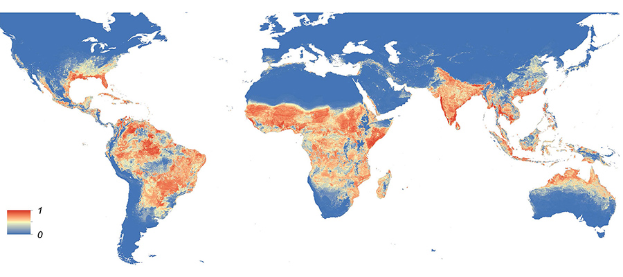 Epidemiological map of global Zika