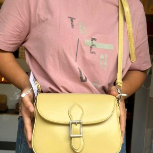 Cisele Luxe Lime Flap Women's Party Sling