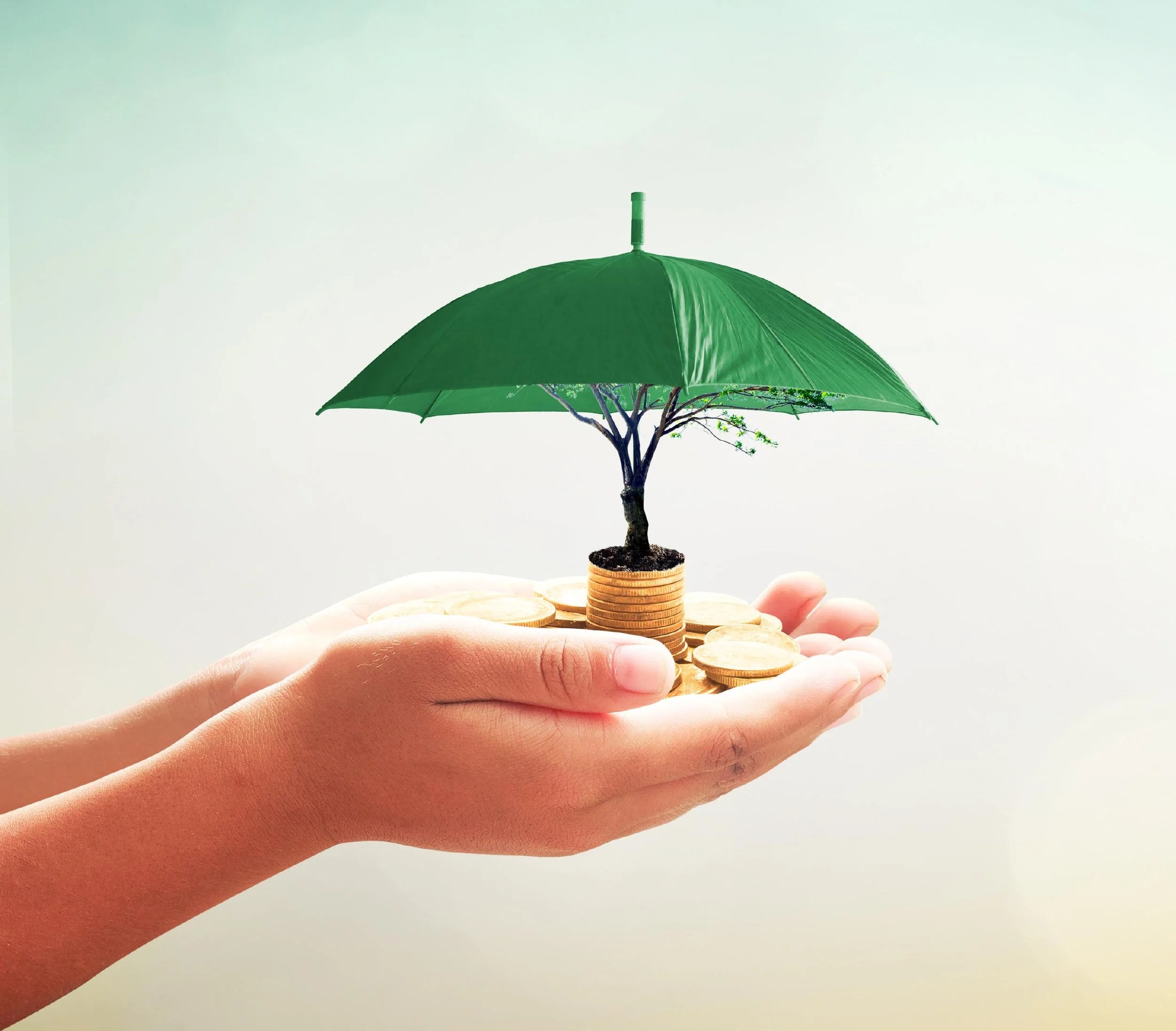 Maximizing CSR Impact with an EMS: The Importance of Prioritizing Corporate Social Responsibility Goals