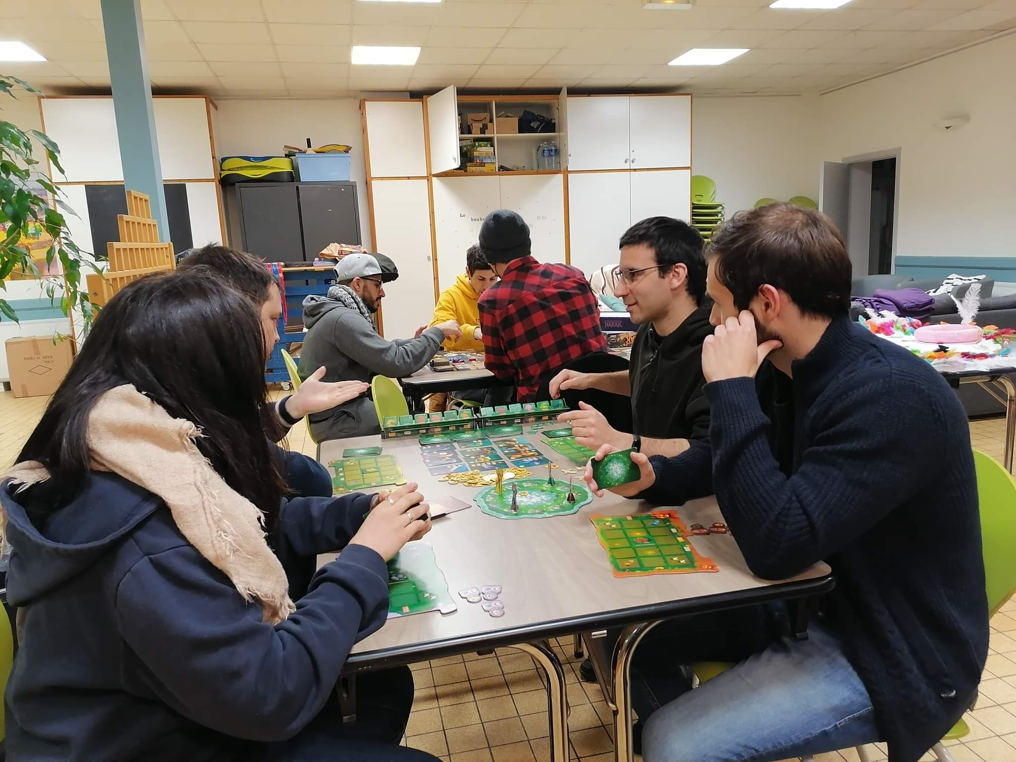 Living Forest