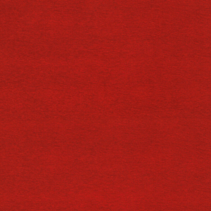 ARQUEO_LISO_C-ROJO