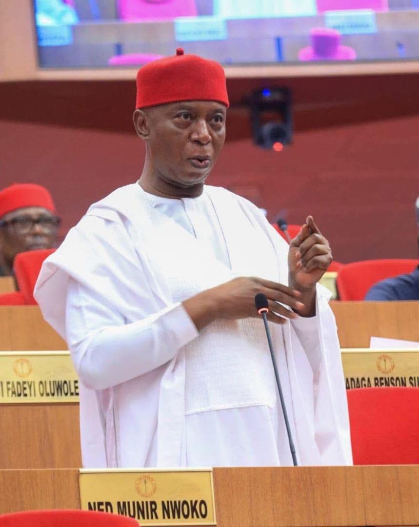 Malice, not facts: Debunking Sowore’s claims against Senator Ned Nwoko