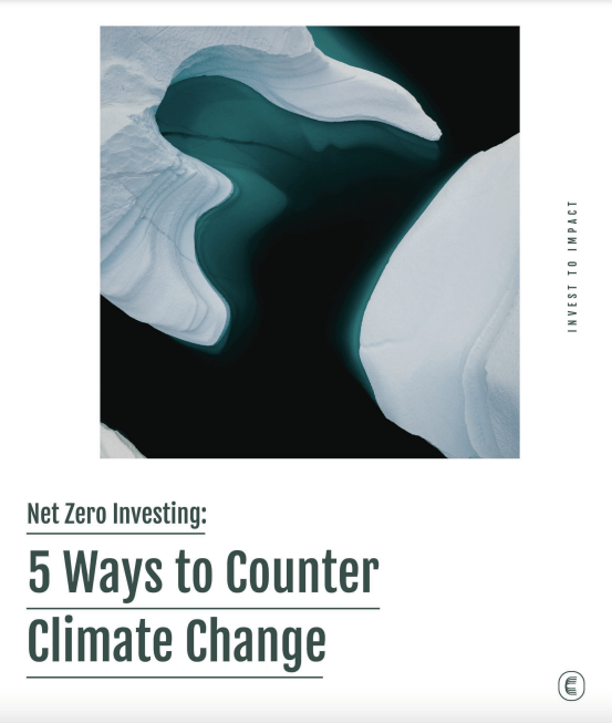 Investments to counter climate change