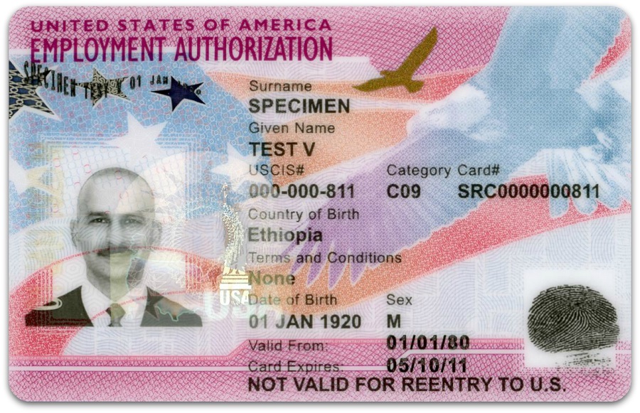 By millie fender 26 august 2020 you need to act fast if you believe your social security card has been lost or stolen. My Work Permit was Lost or Stolen | CitizenPath