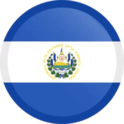 flag button round 250 6 2