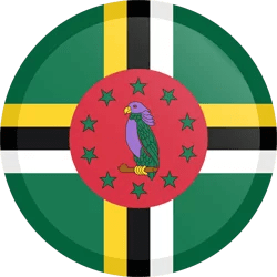 flag button round 250 6