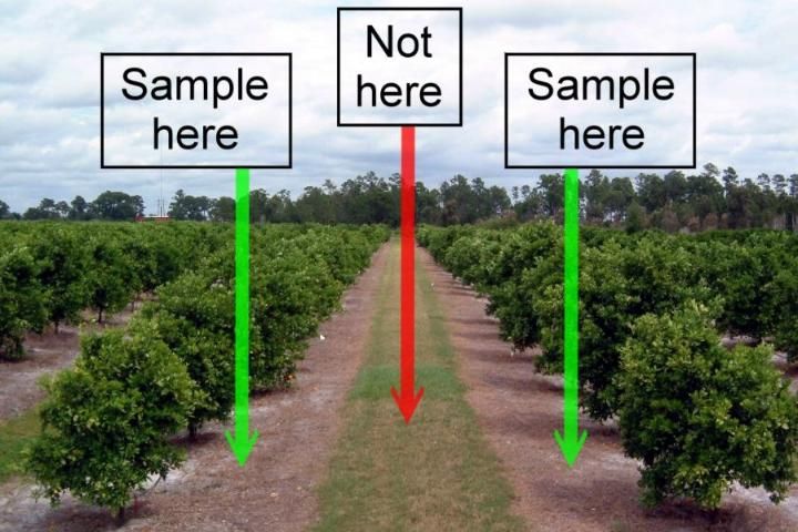 soil sampling