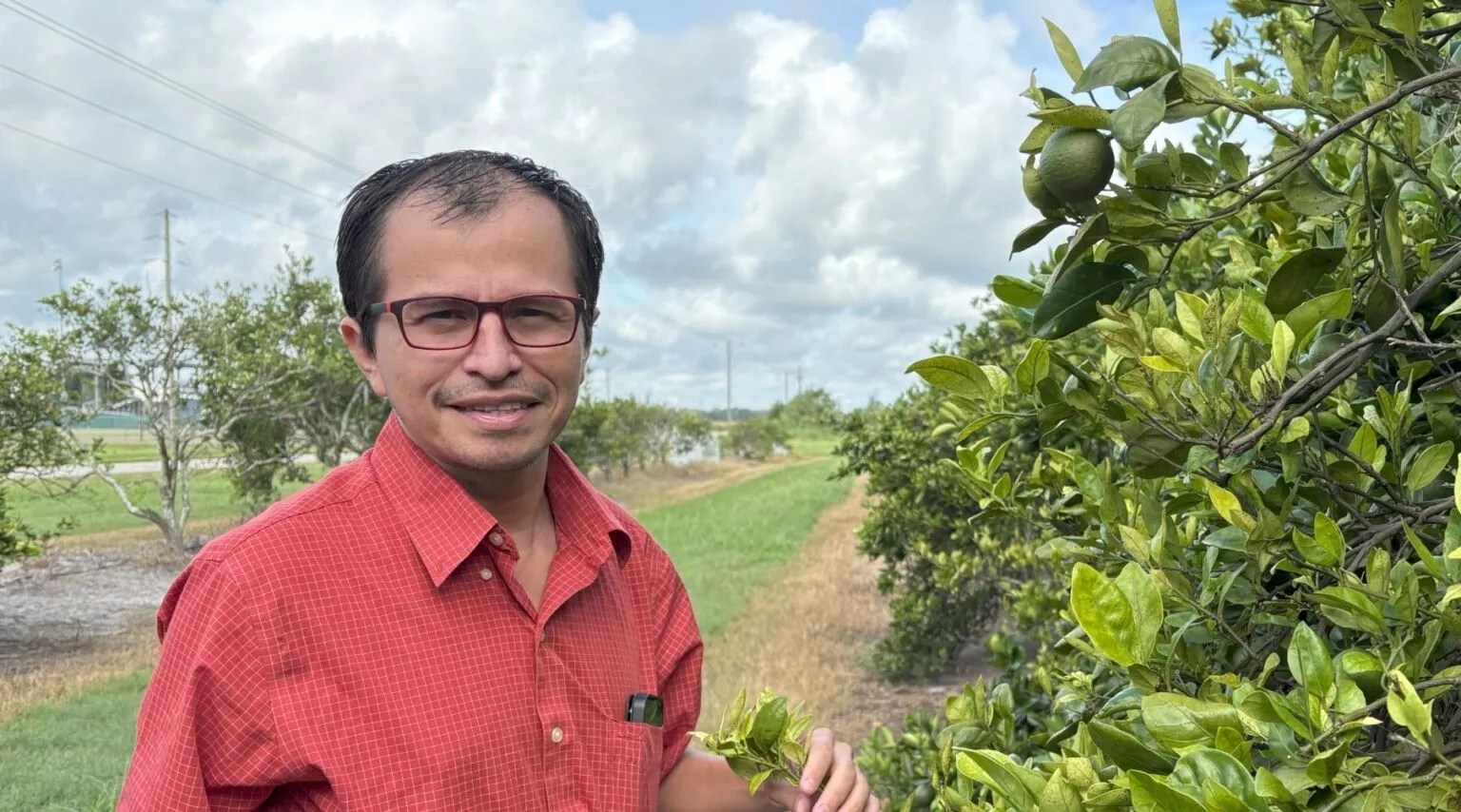 Extension agent