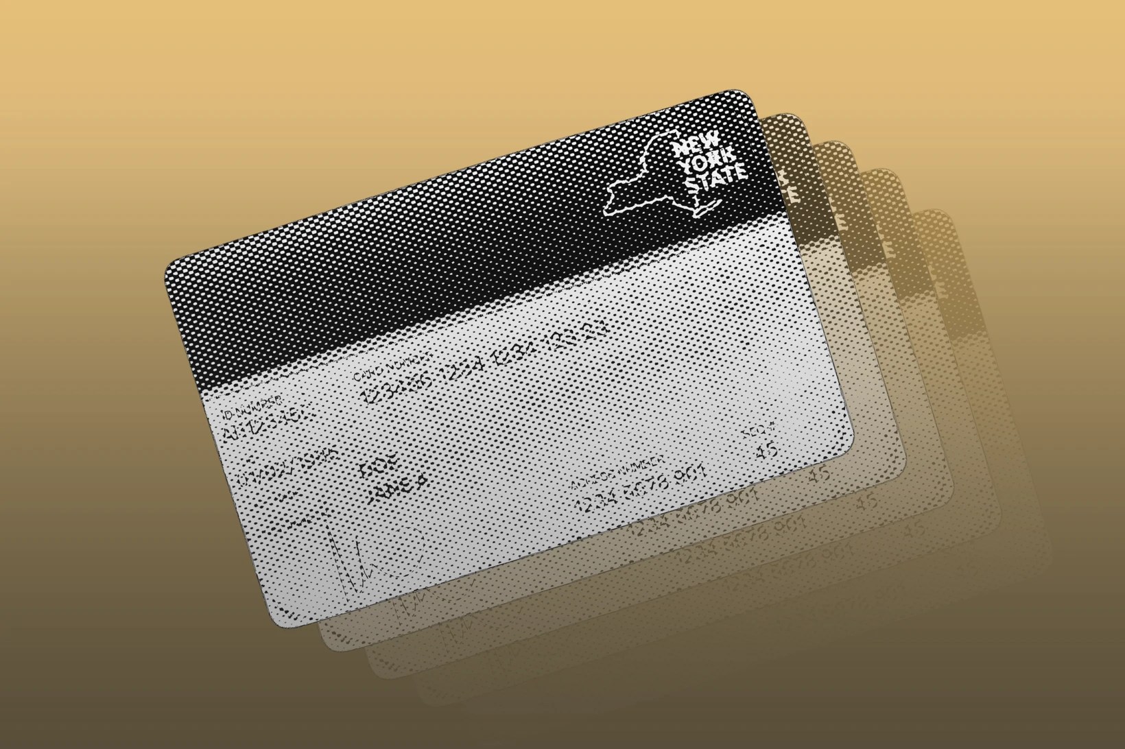 What’s Next for New Yorkers on SNAP? – City Limits