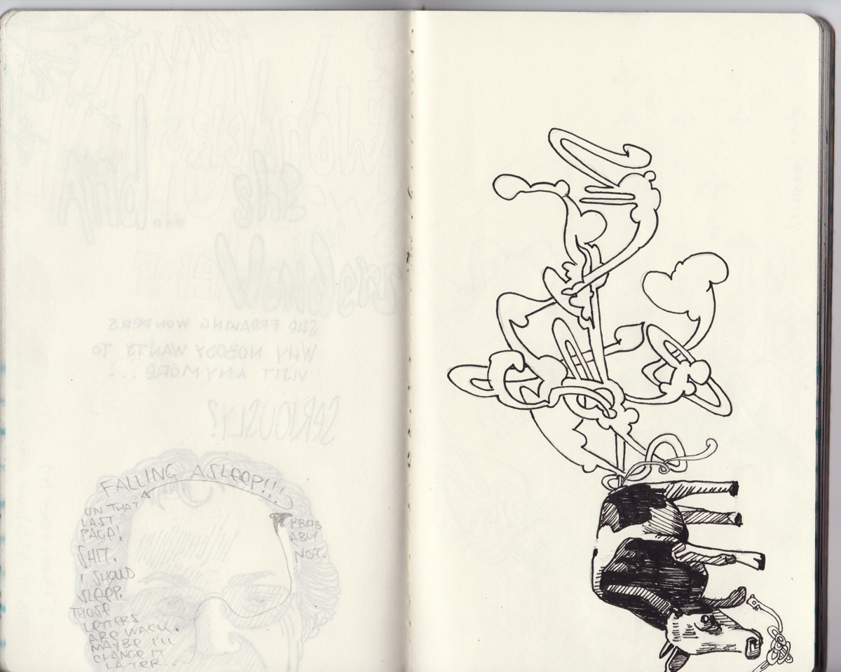 sketchbook project, chicago art artist, illustration, graffiti