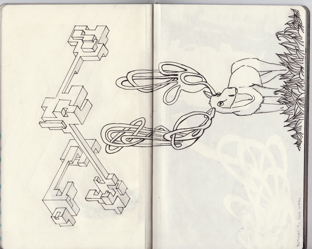 sketchbook project, chicago art artist, illustration, graffiti