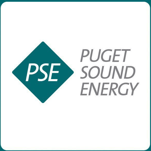 The logo for PSE includes a box with the letters PSE