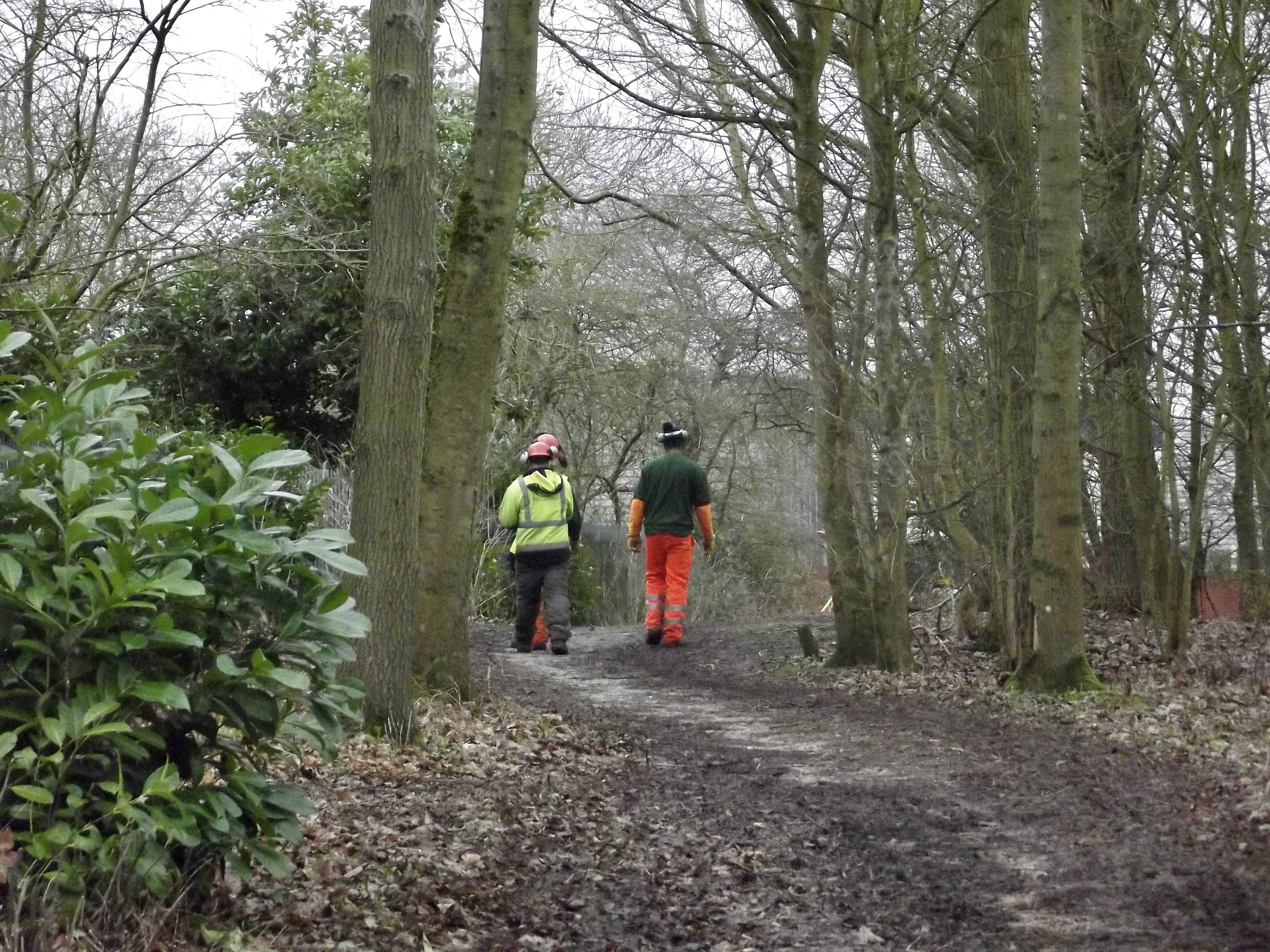 Workmen, hale and hearty