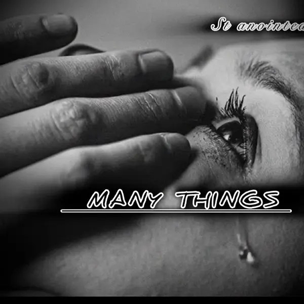 ST Anointed - Many Things