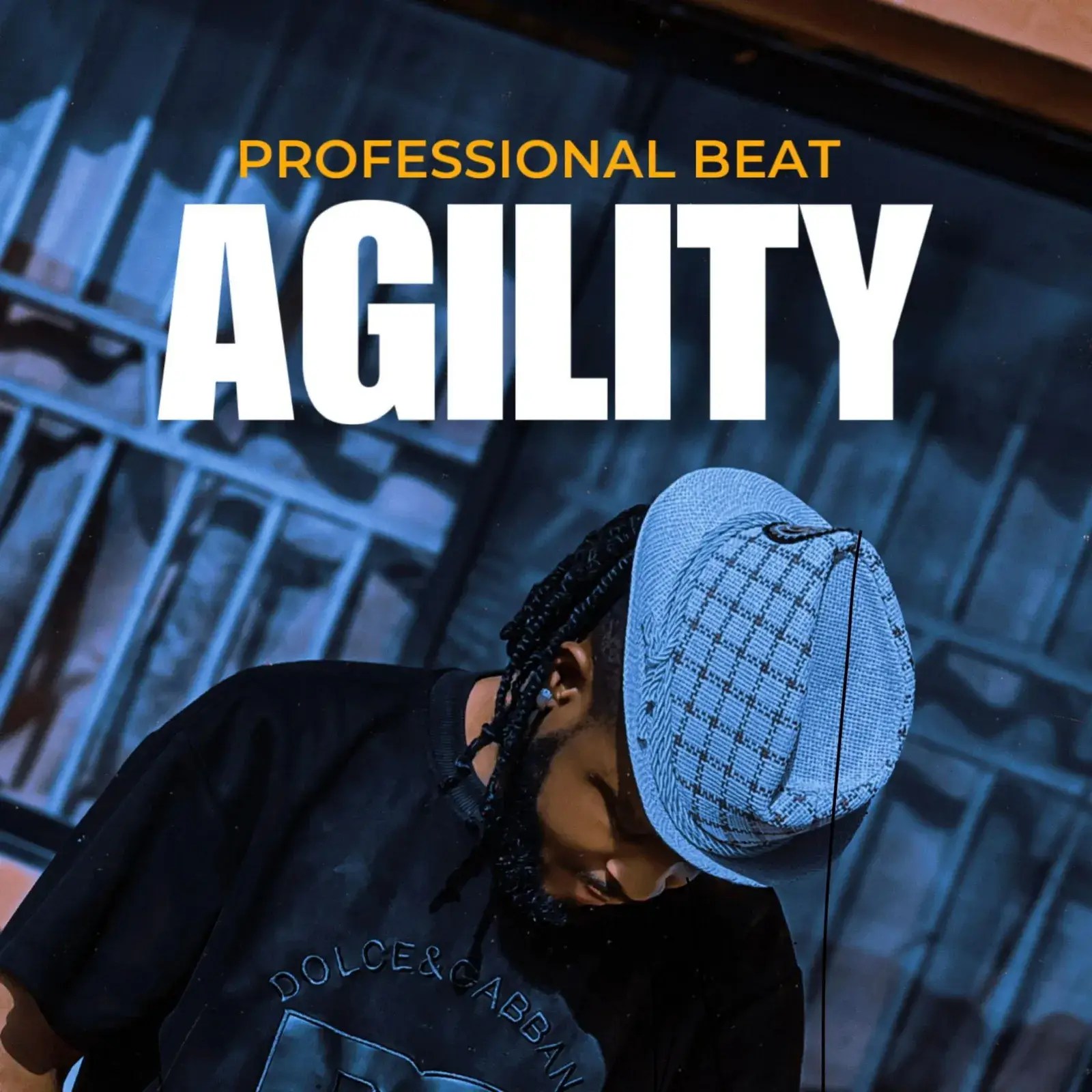 Professional Beat - Agility