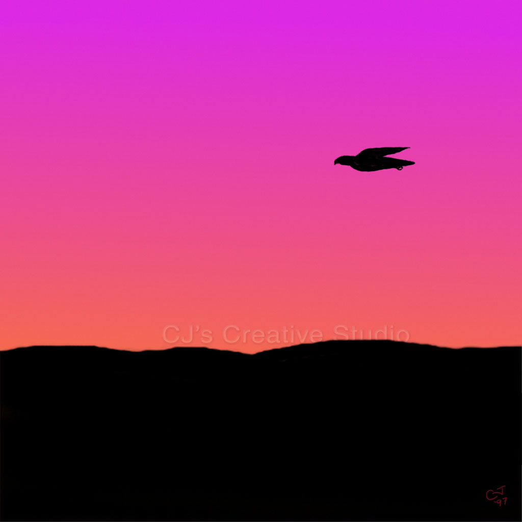 Raptor Dusk