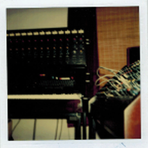 Digital Controller & Analog Synth