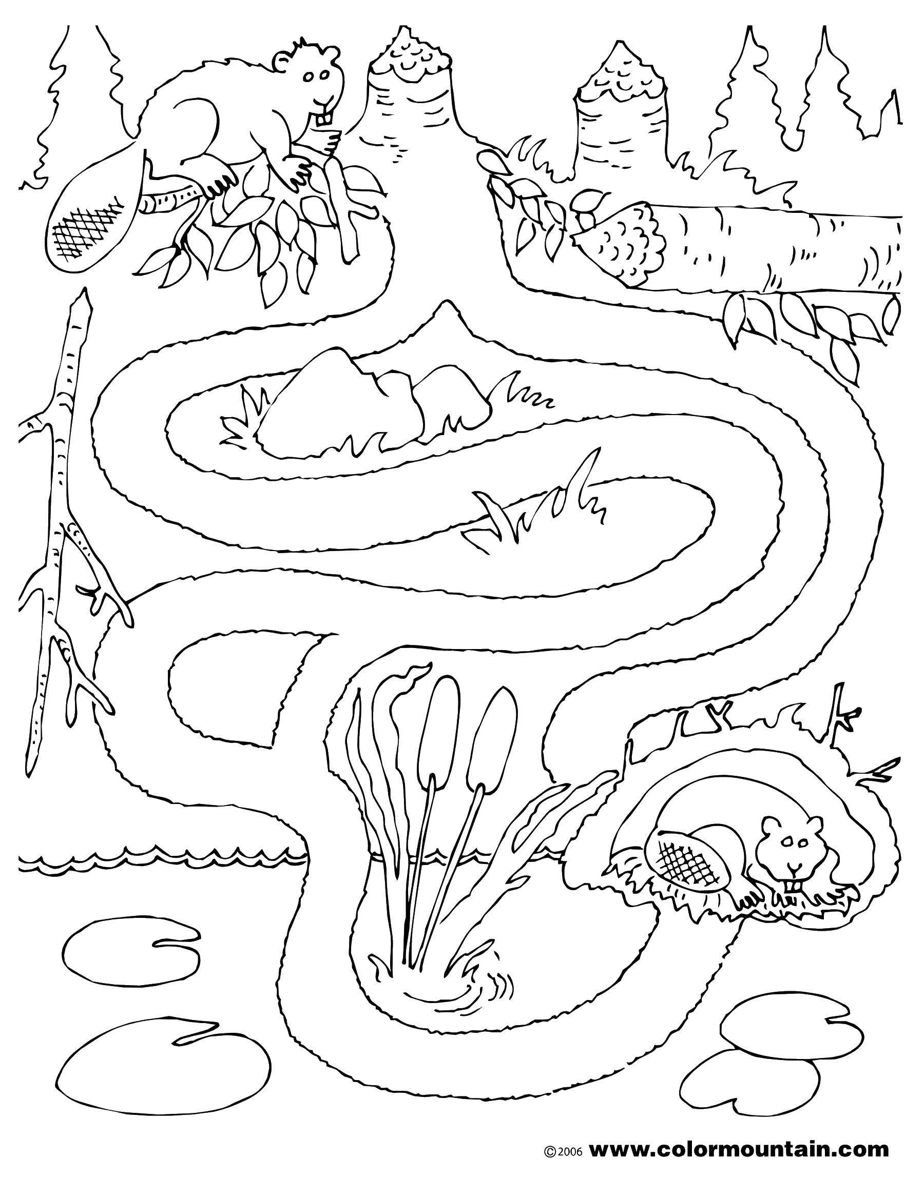 14,169 18 to make a maze you will need: Online Coloring Pages Coloring Page Maze Mazes Download Print Coloring Page