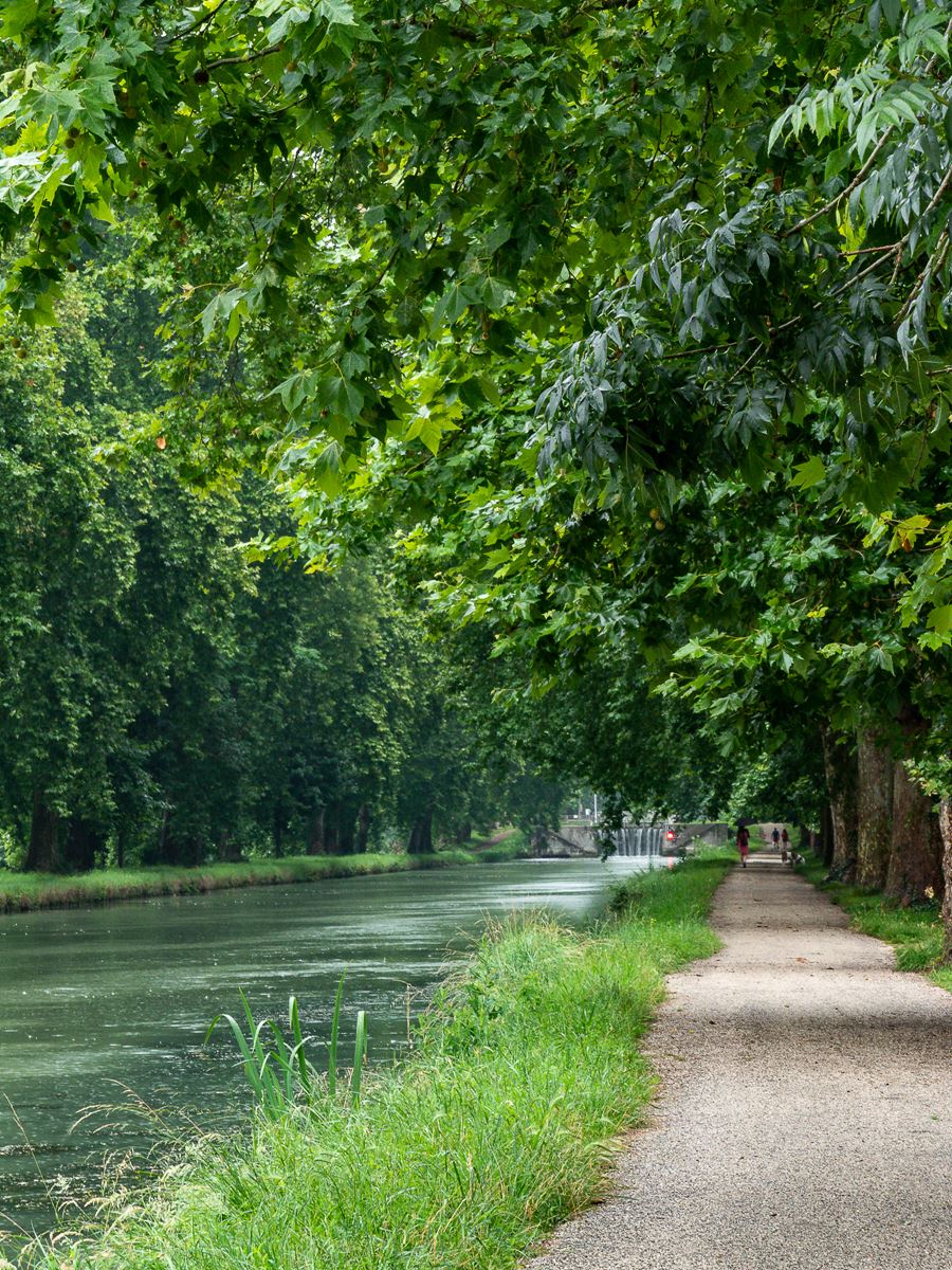 Canal latéral à la Garonne - Moissac