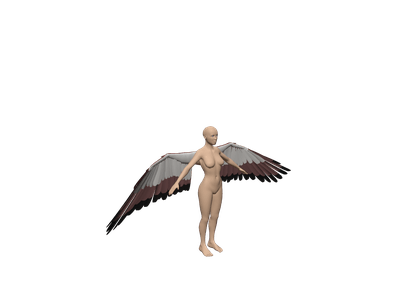 Anime art body base by @angelicvoices ; Human 3d Models For Free Download Free 3d Clara Io